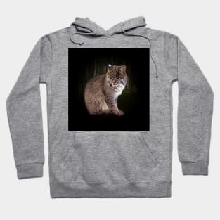 Bobcat cub Hoodie